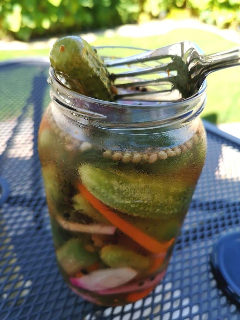 Quick and Easy Refrigerator Pickled Cucumbers – Maricels Recipes Home ...